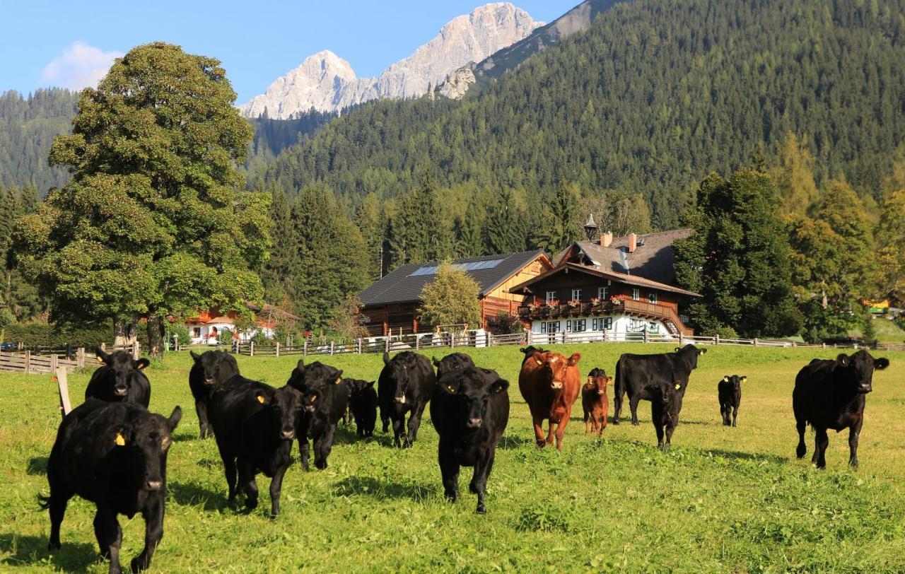 Hotel Laerchenhof Ramsau am Dachstein Exterior foto